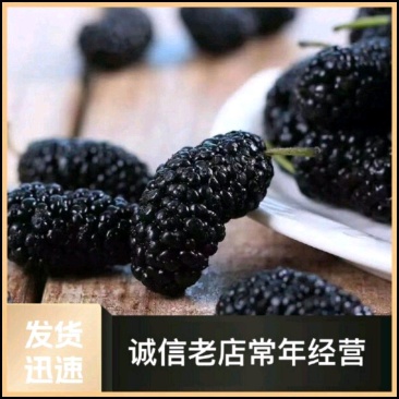 桑葚干