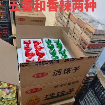 真空包装活珠子
