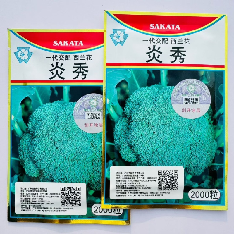 炎秀西兰花种子进口耐热西兰花种籽有机青花椰菜种子原装
