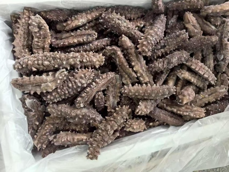 即食刺参即食小刺参社区团购一件代发品相漂亮可贴牌