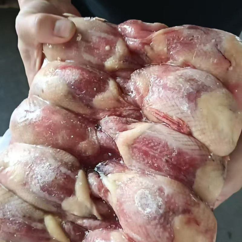 带皮鹌鹑