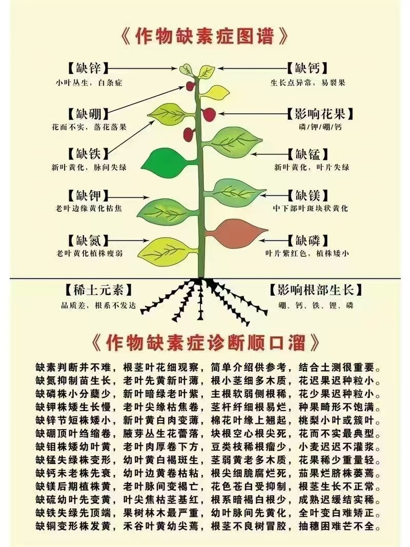 根多旺微生物菌剂高活性菌10亿/克专注作物根系健康