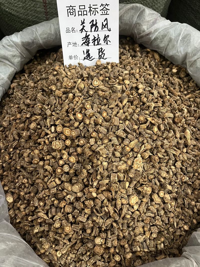 防风野生防风关防风统货选货防风防风