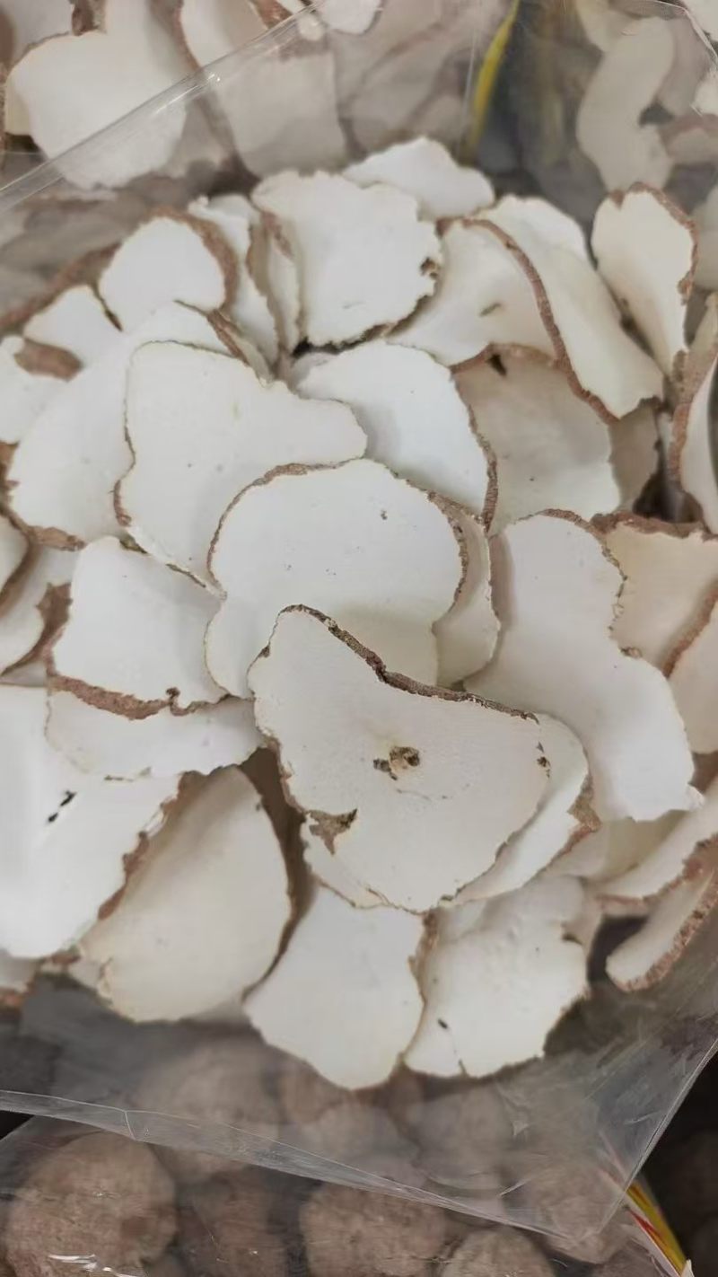 深山原产虎乳菌干片，无硫原色，肉质厚实，整箱散批都接
