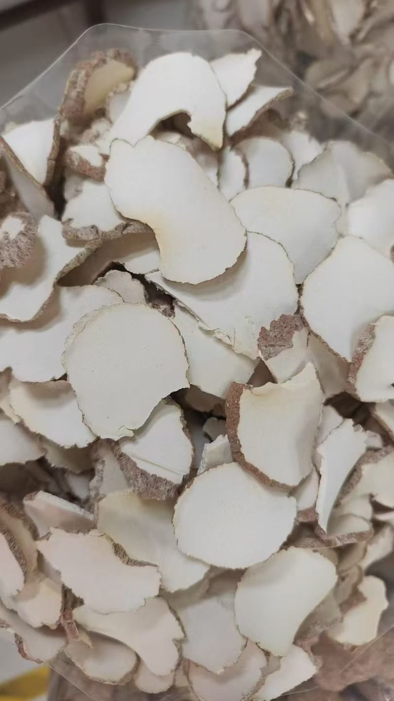 深山原产虎乳菌干片，无硫原色，肉质厚实，整箱散批都接