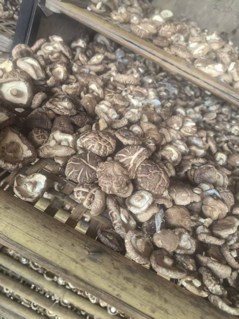 【精品】通货干香菇肉厚口感好自然晾晒烘干量大优惠