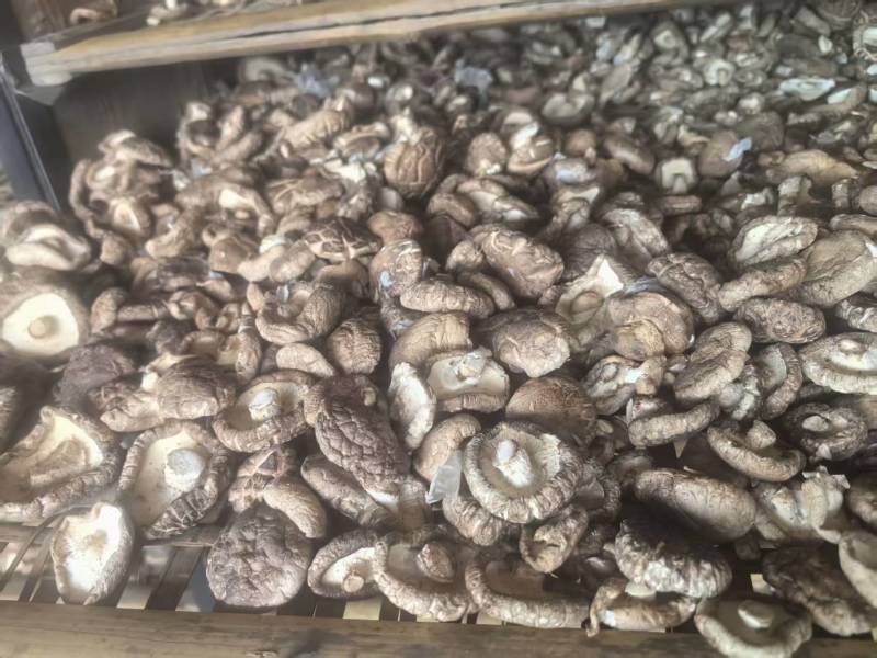 【精品】通货干香菇肉厚口感好自然晾晒烘干量大优惠