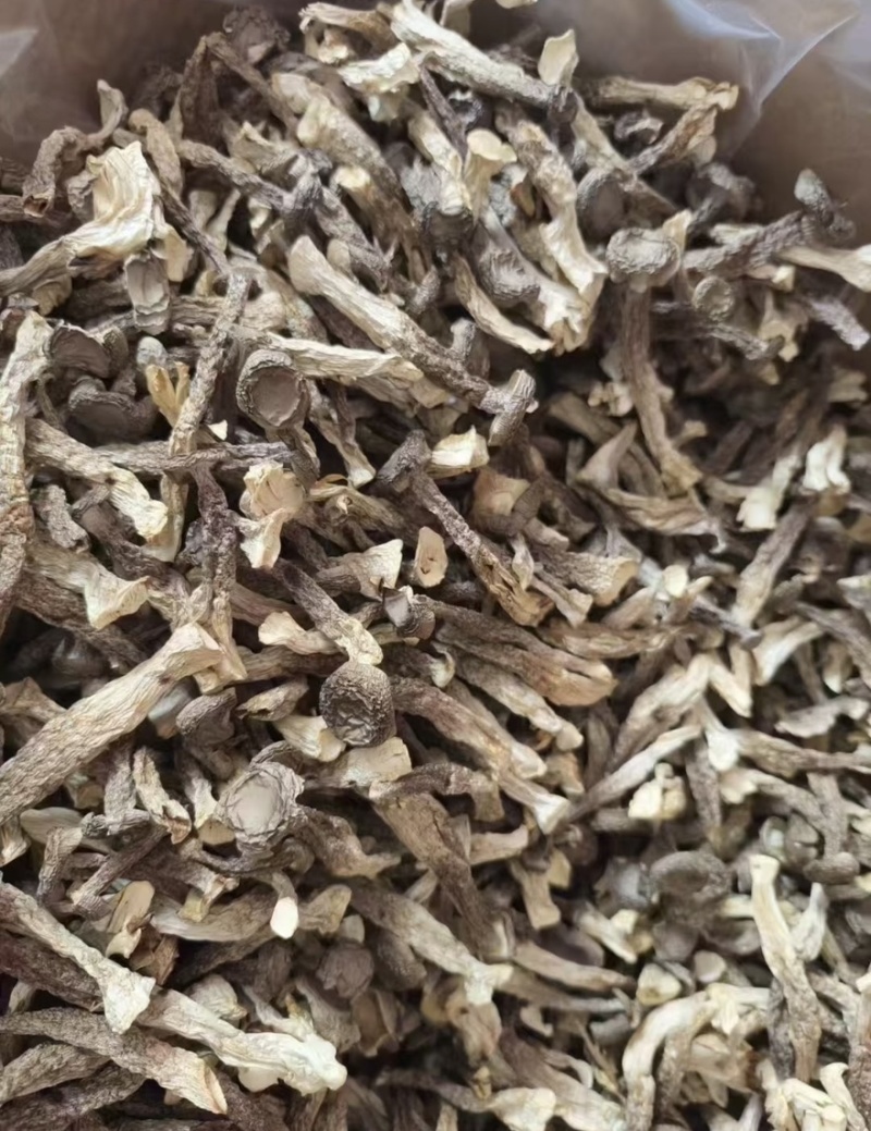 鹿茸菇干干货鹿茸菇中条对接食堂商用无硫味浓新货