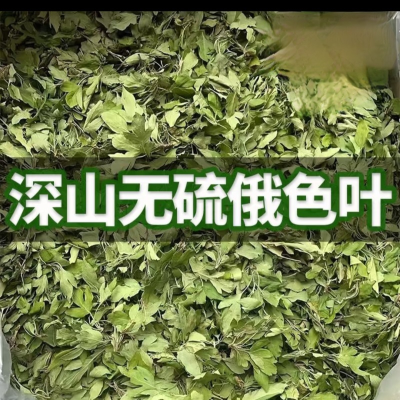 高原俄色叶干度高，新货上市道地中药材产地直发批量批发