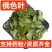 高原俄色叶干度高，新货上市道地中药材产地直发批量批发
