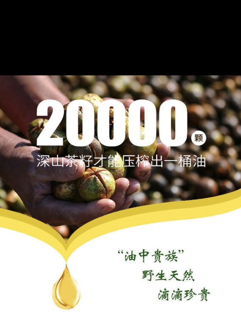 湖南邵阳正宗山茶油纯正清香营养丰富量大价优