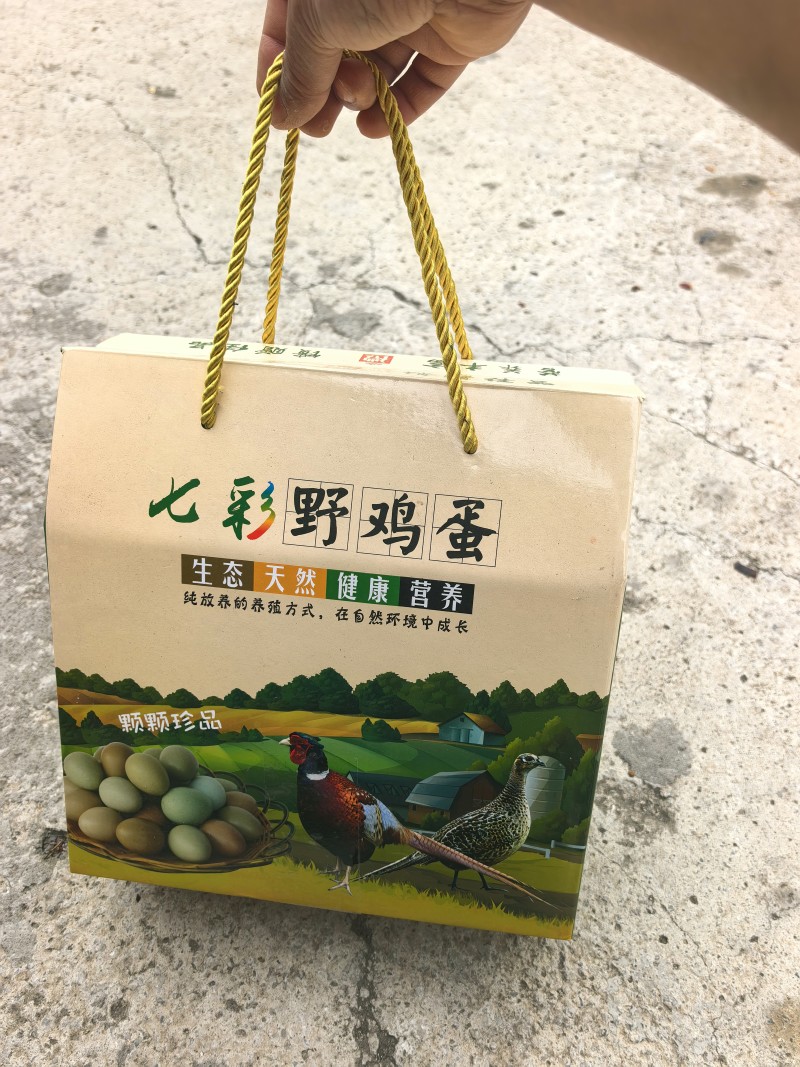 七彩山鸡野鸡蛋种蛋可孵化
