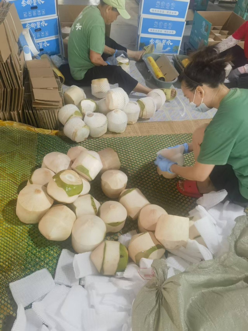 海南东郊青椰子按需包装，可全国发货欢迎来电咨询。