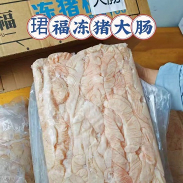 猪大肠