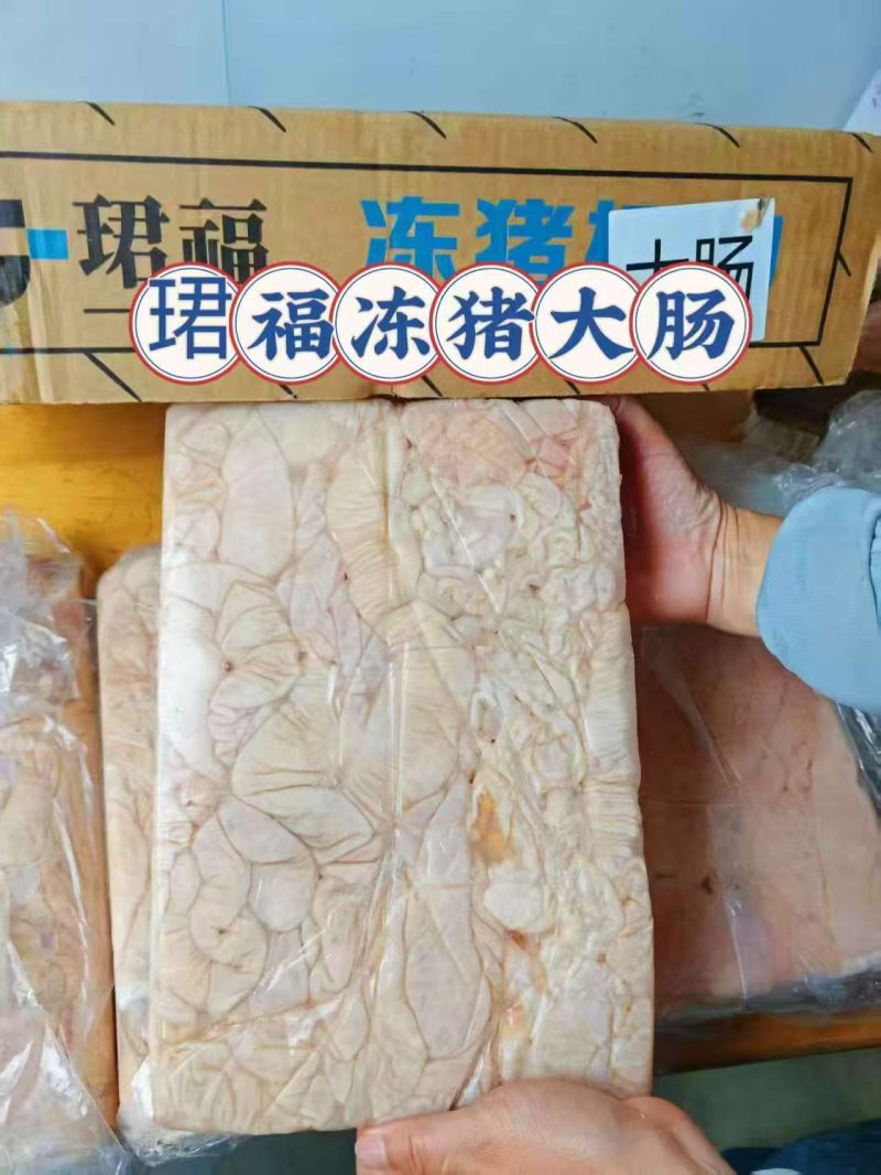 猪大肠