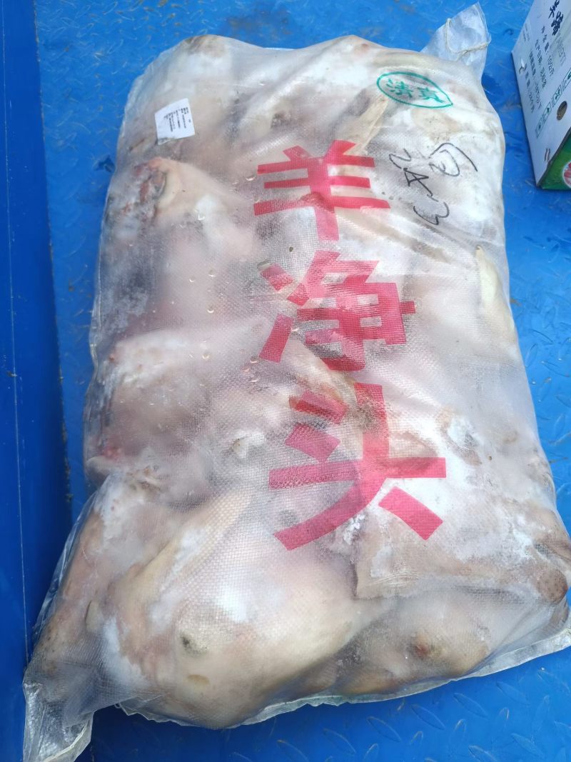 白羊头