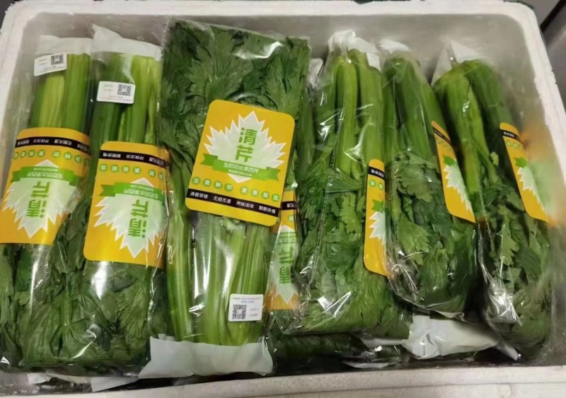 水果芹菜