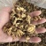 核桃仁奶香草本味核桃仁