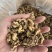 核桃仁奶香草本味核桃仁