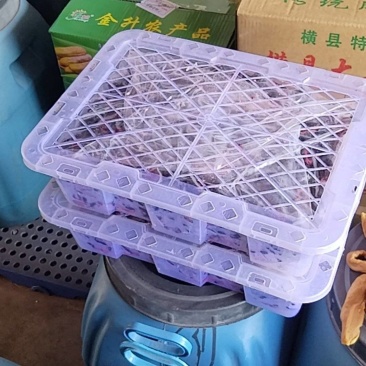 油榄角