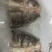 鲢鱼头500-600克600-700克