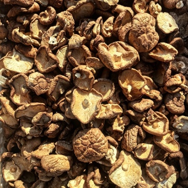 【量大优惠】辽宁香菇小薄片产地直发品质保障对接全国