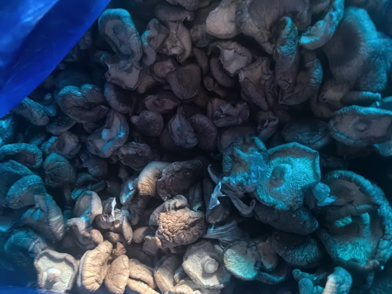 【量大优惠】辽宁香菇小薄片产地直发品质保障对接全国