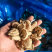 【量大优惠】辽宁香菇小薄片产地直发品质保障对接全国