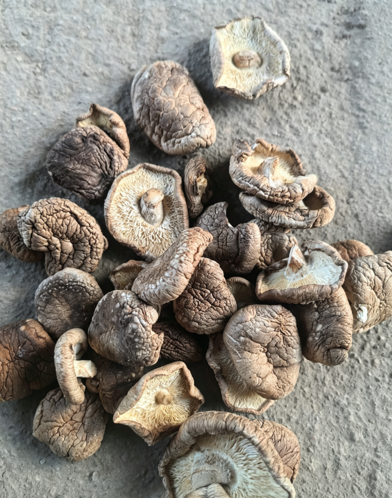 【量大优惠】辽宁香菇小薄片产地直发品质保障对接全国