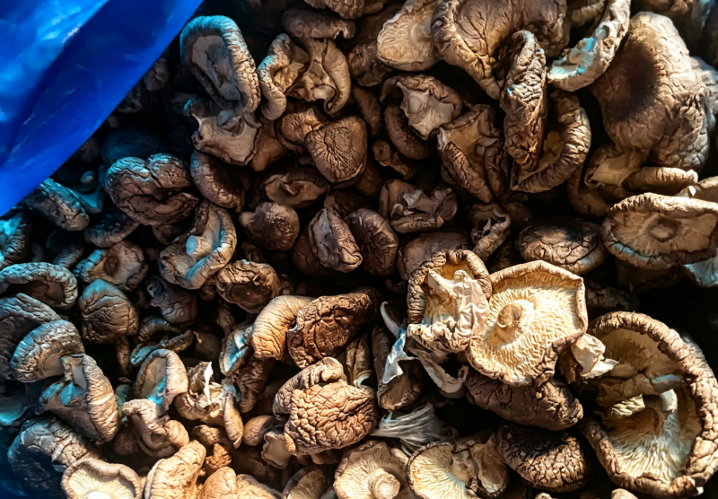 【量大优惠】辽宁香菇小薄片产地直发品质保障对接全国