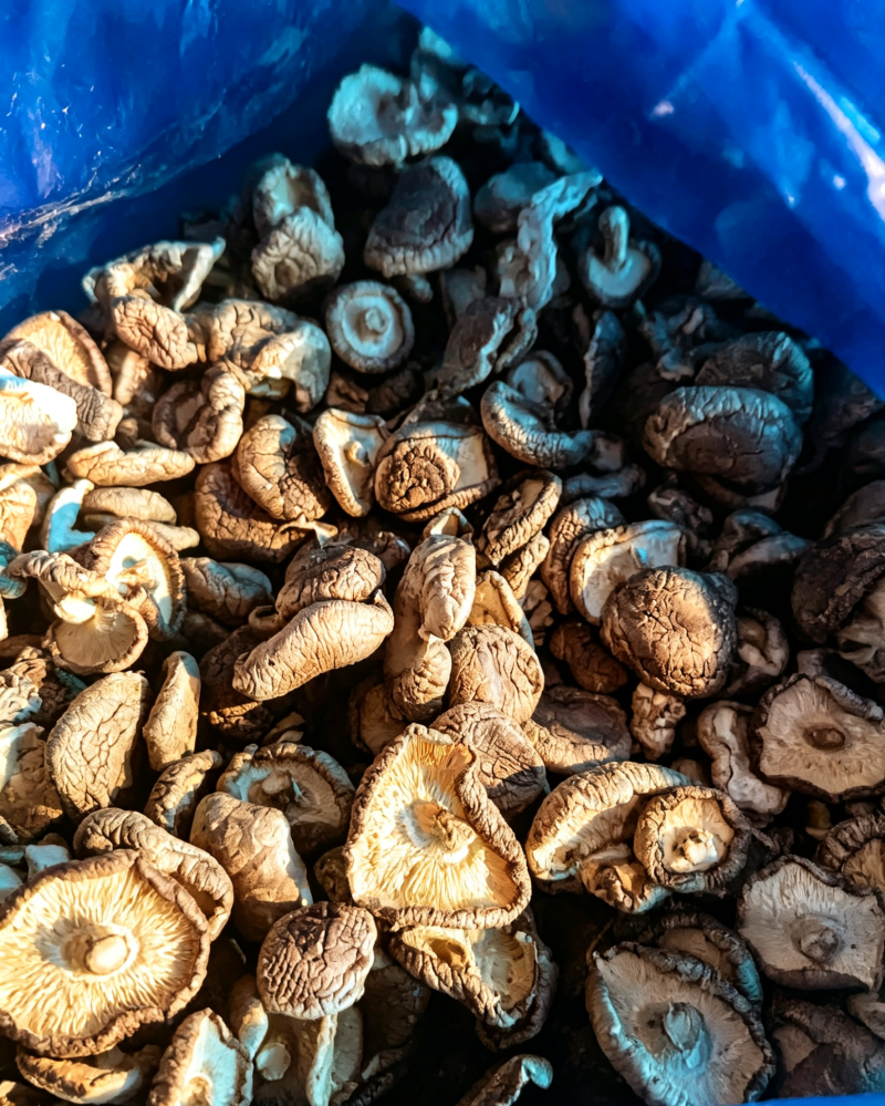 【量大优惠】辽宁香菇小薄片产地直发品质保障对接全国