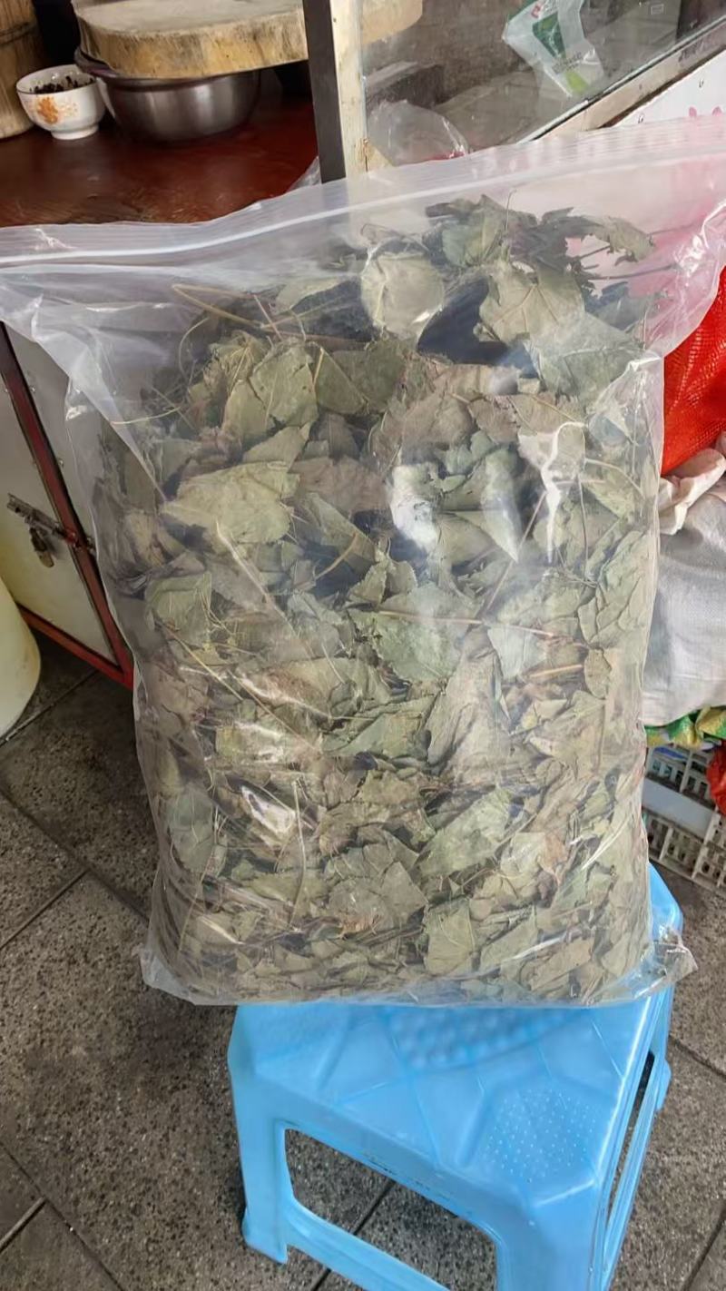 淫羊藿种子***********李