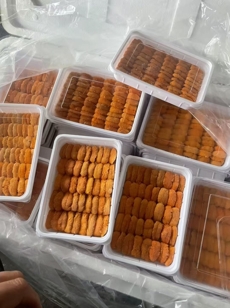 漂烫海胆肉100克，漂烫马粪海胆肉