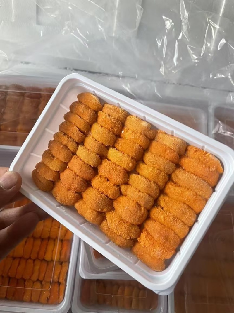 漂烫海胆肉100克，漂烫马粪海胆肉