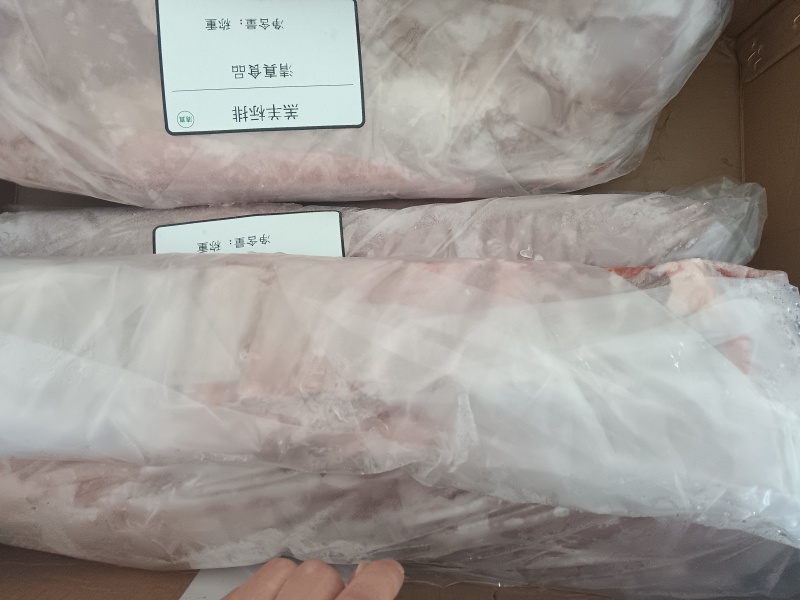 内蒙羔羊标排