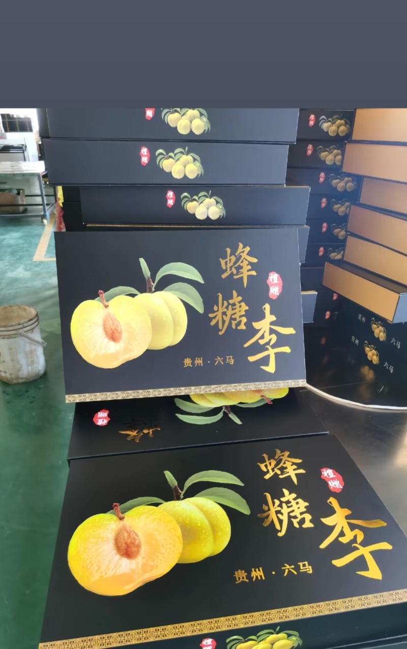 贵州六马正宗峰糖李