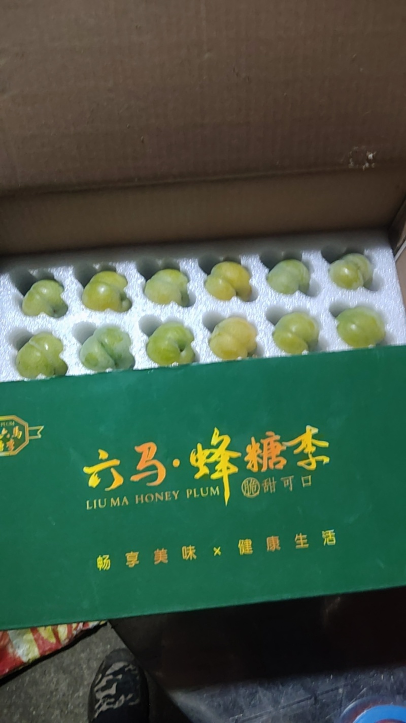 贵州六马正宗峰糖李