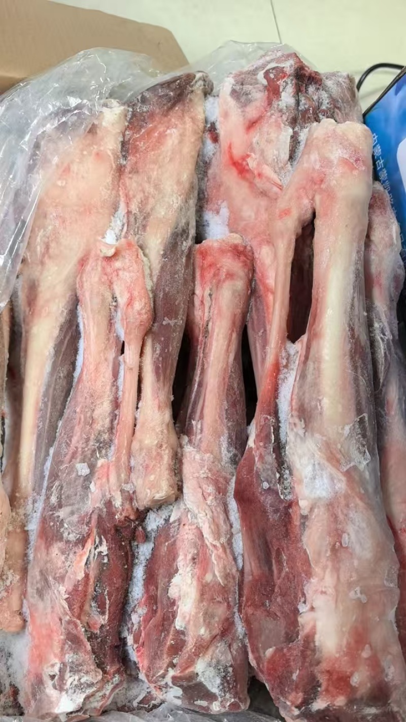 羊后腱