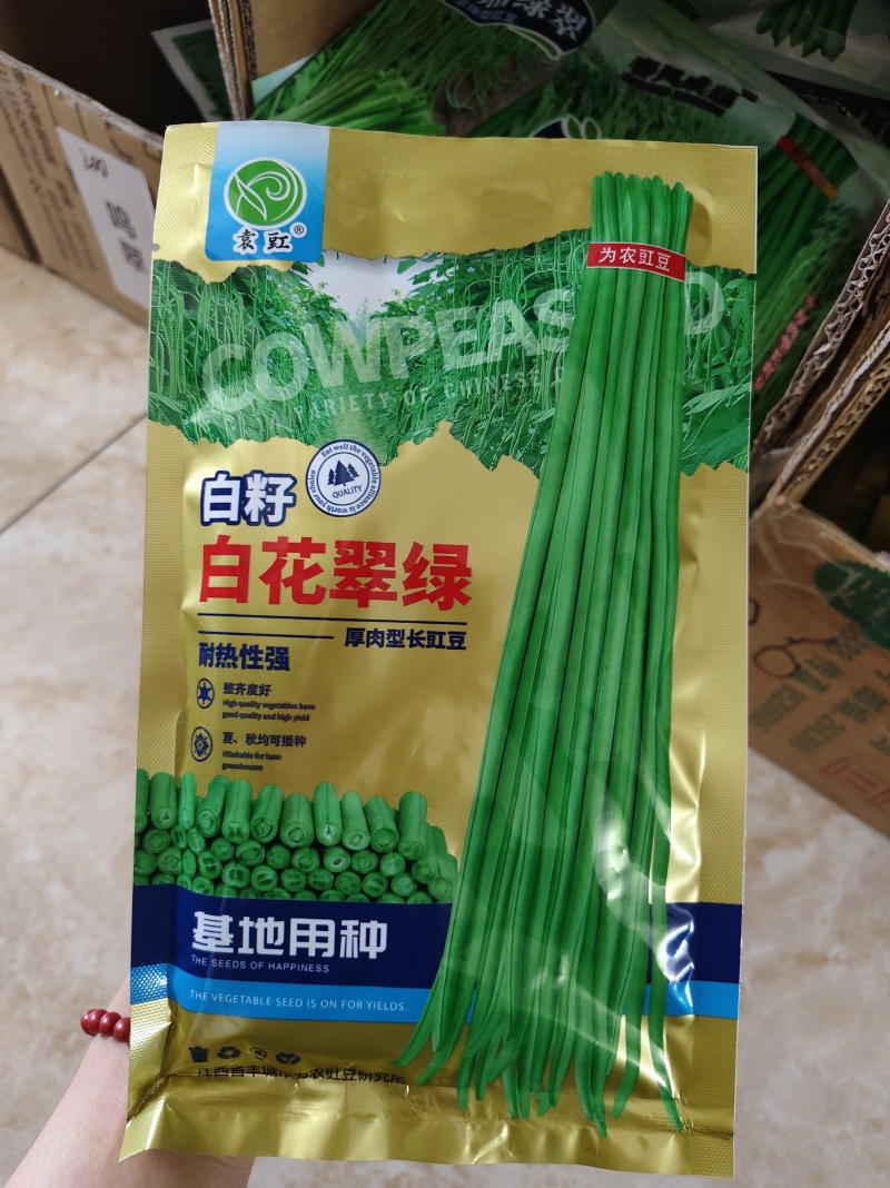 白籽白花翠绿豆角种子厚肉型长豇豆种子耐热春夏秋长豆角种子