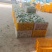 果园直供芭乐，全套打包装车流程实拍