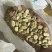 【系统推荐】四川干蚕豆瓣胡豆川胡当季新胡豆可开发票