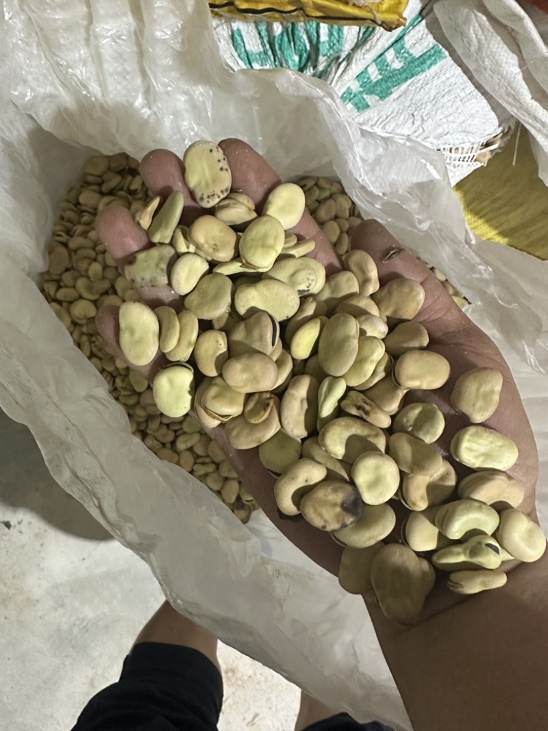 【系统推荐】四川干蚕豆瓣胡豆川胡当季新胡豆可开发票