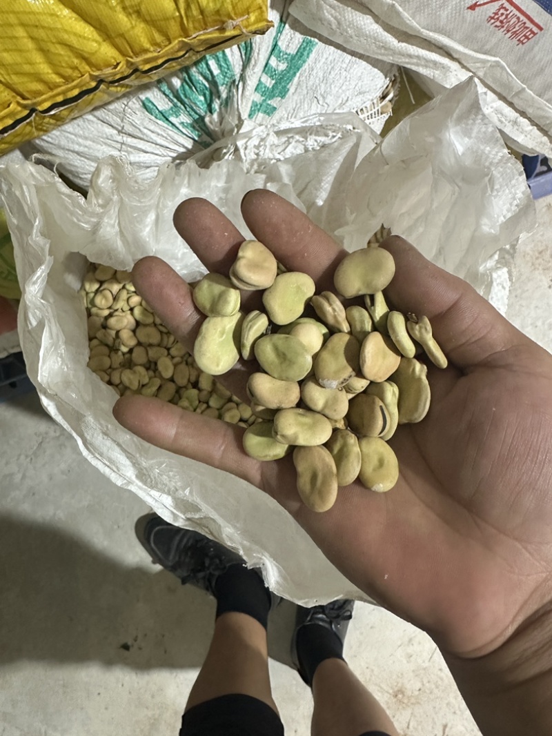 【系统推荐】四川干蚕豆瓣胡豆川胡当季新胡豆可开发票