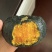 【精品】贝贝南瓜山西吕梁文水县大量上市\全国供应