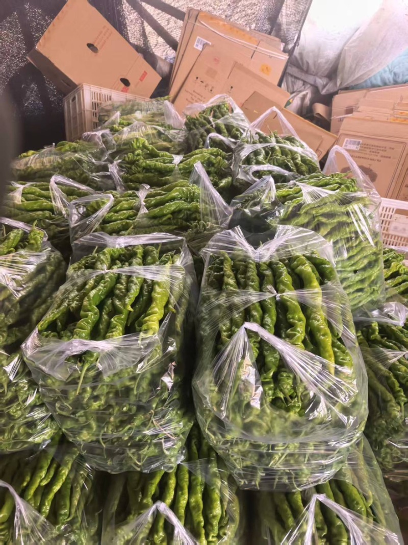 精品大果全螺丝椒盐一手货源全国发货量大价优欢迎随时联系