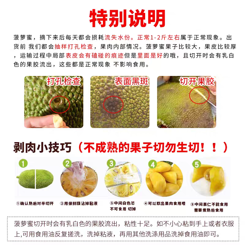 海南菠萝蜜