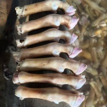 火烧育肥羊蹄带筋，拒绝科技与狠活