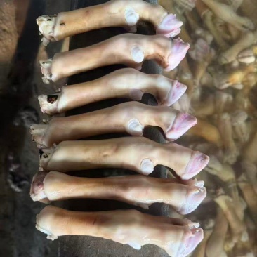 火烧育肥羊蹄带筋，拒绝科技与狠活
