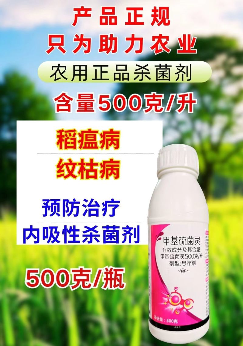 甲基硫菌灵杀菌剂纹枯病稻瘟病保护杀菌剂农药500克