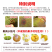 正宗海南黄果菠萝蜜批发